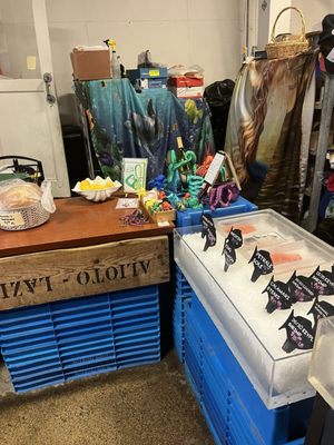 Alioto Lazio Fish Co by null