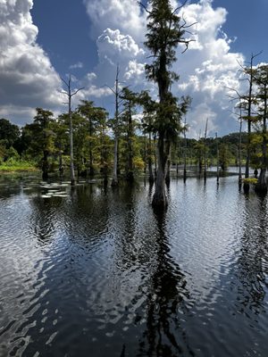 BLACK BAYOU LAKE NATIONAL WILDLIFE REFUGE - Updated December 2025