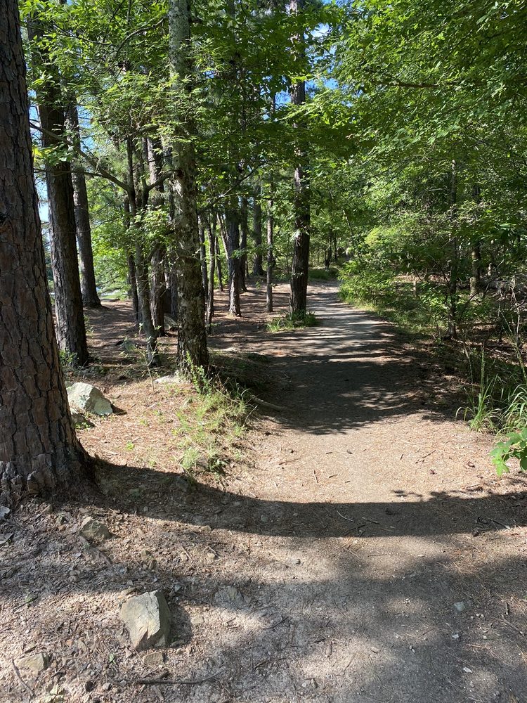 Pinnacle Mountain State Park Logo