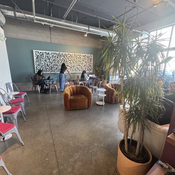 KINFOLX - Updated December 2025 - 228 Photos & 175 Reviews - 1951