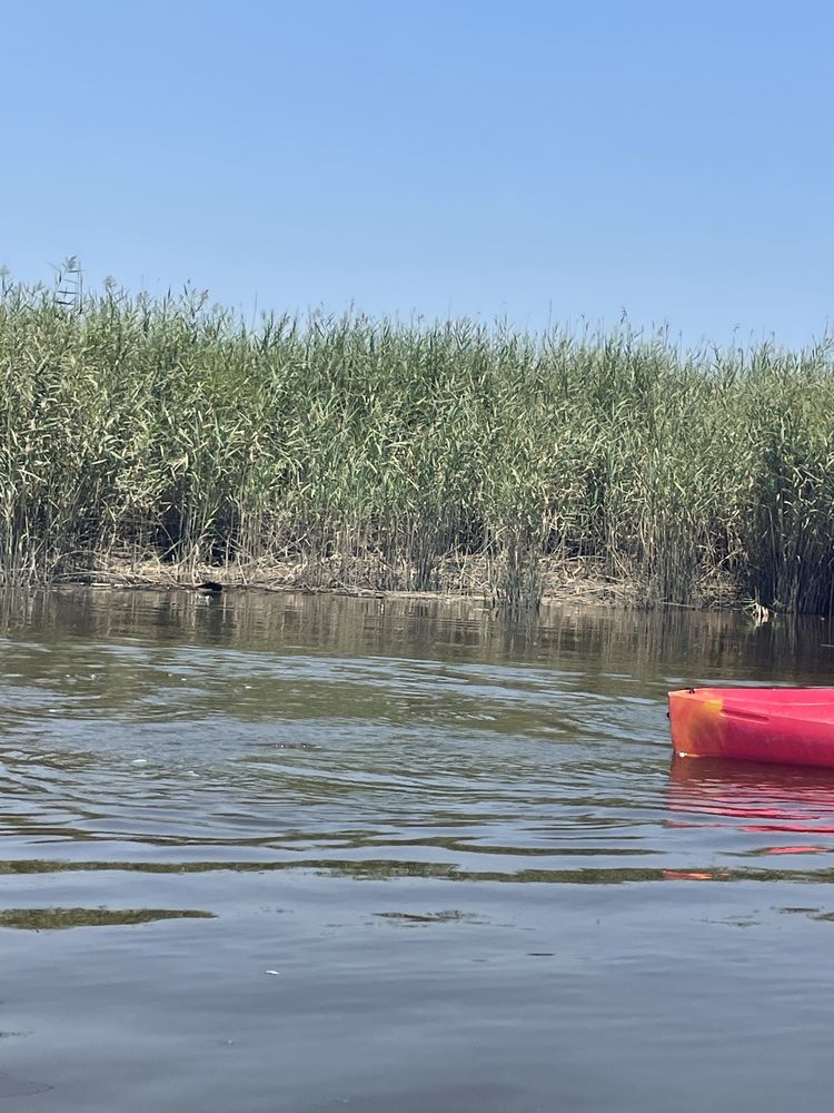 Wilmington Outdoor Adventures