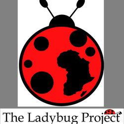 The Ladybug Project
