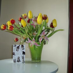 Exotic Garden - Bouquet de tulipes.