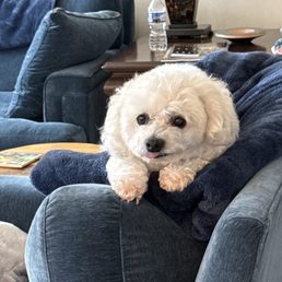 Here's Ernie. Not allowed on Patio. Here's Ernie. Not allowed on Patio.