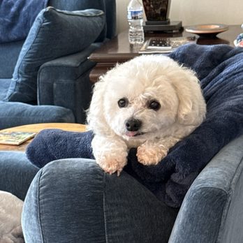 Bova - Here's Ernie. Not allowed on Patio. - Pizza Near Me - Simpsonville, South Carolina Bova - Here's Ernie. Not allowed on Patio. - Pizza Near Me - Simpsonville, South Carolina