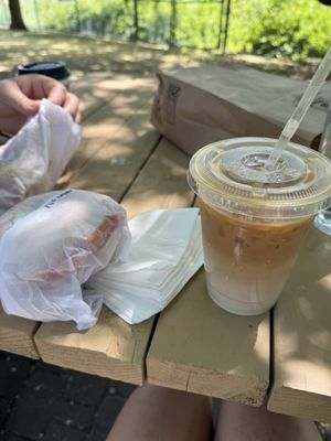 Pigeon Bagels by null