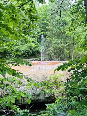 Saratoga Spa State Park by null