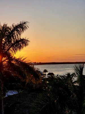 Reefhouse Resort & Marina by null