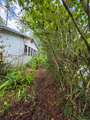 Yard debris clean-up - Cleaning up around the house