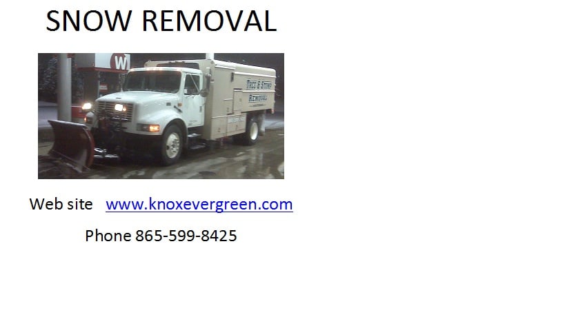 Ever Green Tree Service - tree service in Knoxville, TN