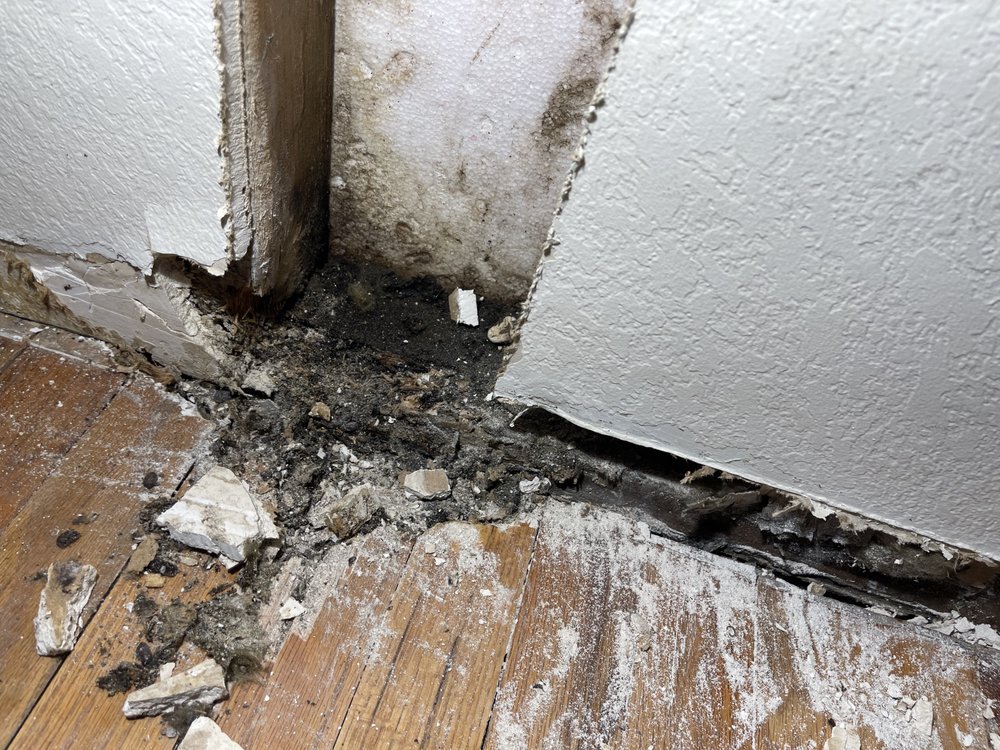 HORACE MANN INSURANCE COMPANY Updated September 2024 42 Reviews