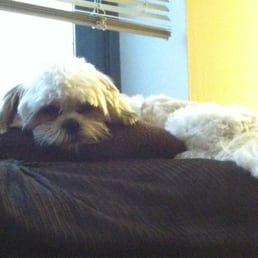 Teddi resting after his visit Teddi resting after his visit