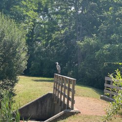 Kathryn Gorman Ponds Park