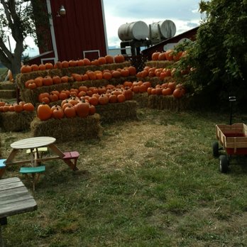 Sherman Farm Stand - Food Near Me - Center Conway, New Hampshire Sherman Farm Stand - Food Near Me - Center Conway, New Hampshire