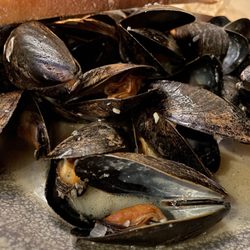 The Snug Pub - Mussels. You wish you could smell this dish.