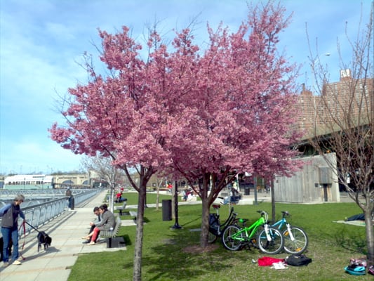West Harlem Piers by null