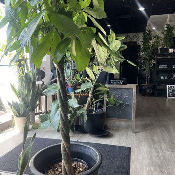 RHW - Vegan Near Me - Atlanta, Georgia RHW - Vegan Near Me - Atlanta, Georgia