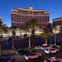 Beer Park - View from the seats along the Strip