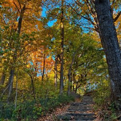 Grant Park - Autumn