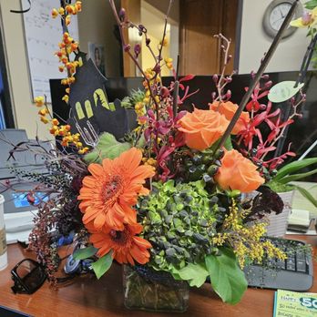 Garden Gate - Hocus Pocus - Florists Near Me - Yorba Linda, California Garden Gate - Hocus Pocus - Florists Near Me - Yorba Linda, California