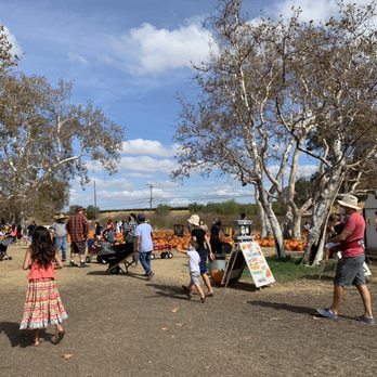 Joan's Farm & Pumpkin Patch - Pumpkin Patches Near Me - Livermore, California
