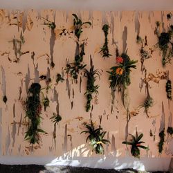 Joyce Billet Studio - Art week 2024 installation