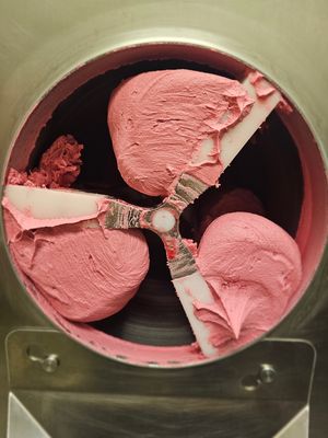 Daily Recess by null