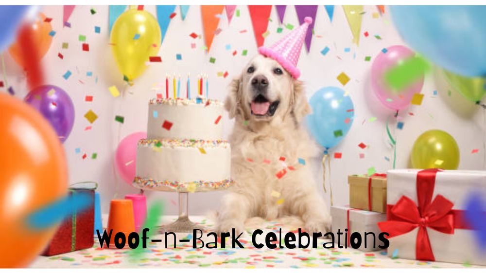 WOOFNBARK CELEBRATIONS Updated August 2024 10 Photos Spindale