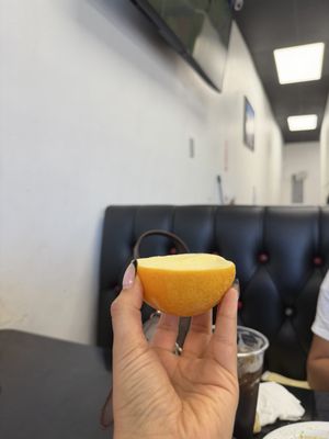 Guajillo Restaurant by null