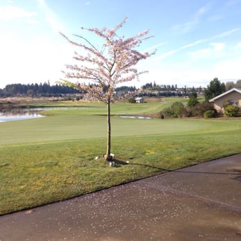 The Home Course - Nice day - Golf Lessons Near Me - DuPont, Washington The Home Course - Nice day - Golf Lessons Near Me - DuPont, Washington