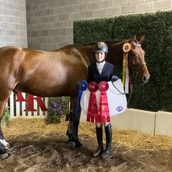 Hye Pointe Eqestrian Center - Kenny and his riding taking home reserve over all.