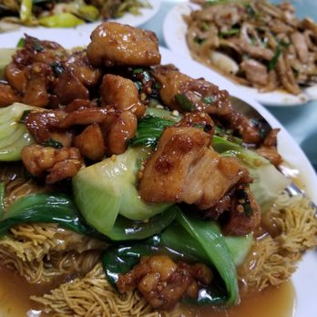 Ginger & Garlic - Perfectly cooked cake noodle! I will bring my mainland friends here to try it. - Dim Sum Near Me - Honolulu, Hawaii