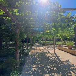 Chiesa del Santissimo Redentore - The garden