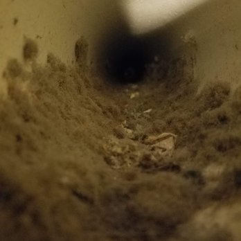 L & N Carpet & Cleaning - Picture of dryer vent tube that was supposedly "cleaned" - Carpet Cleaning Near Me - Grand Rapids, Michigan L & N Carpet & Cleaning - Picture of dryer vent tube that was supposedly "cleaned" - Carpet Cleaning Near Me - Grand Rapids, Michigan