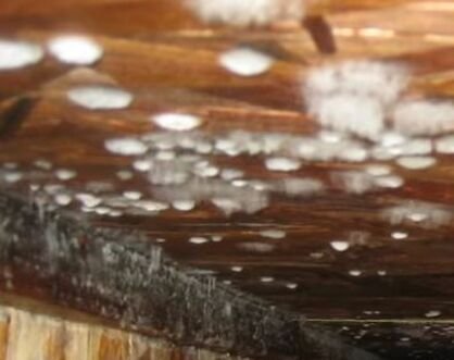 Hero Mold Removal - Staunton - mold inspector in Staunton, VA