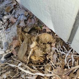 This is what was clogged up in my toilet wipes ... $485 for this ! This is what was clogged up in my toilet wipes ... $485 for this !