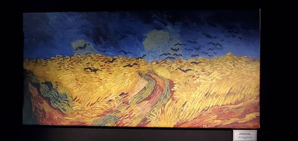 Van Gogh: The Immersive Experience by null