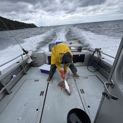 Alaska Premier Charters, Inc. dba Wild Strawberry Lodge