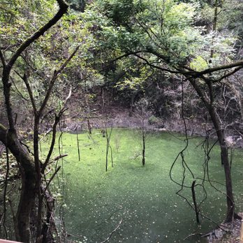 Devil's Millhopper State Geological Site - Another view of the Devil's Millhopper on 9/14/2019 - Parks Near Me - Gainesville, Florida Devil's Millhopper State Geological Site - Another view of the Devil's Millhopper on 9/14/2019 - Parks Near Me - Gainesville, Florida