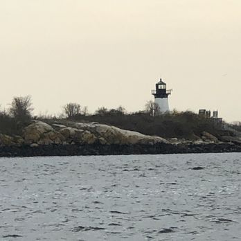 7 Seas Whale Watch - Whale Watching Tours Near Me - Gloucester, Massachusetts