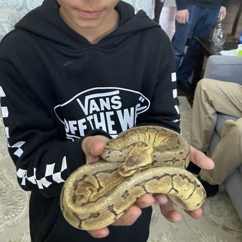 Snake Encounters - Party & Event Planning Near Me Snake Encounters - Party & Event Planning Near Me