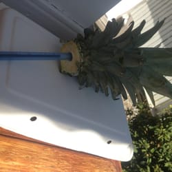 Los Laureles Lodge Pool - We'll see how long the pineapple pen topper lasts !!?!