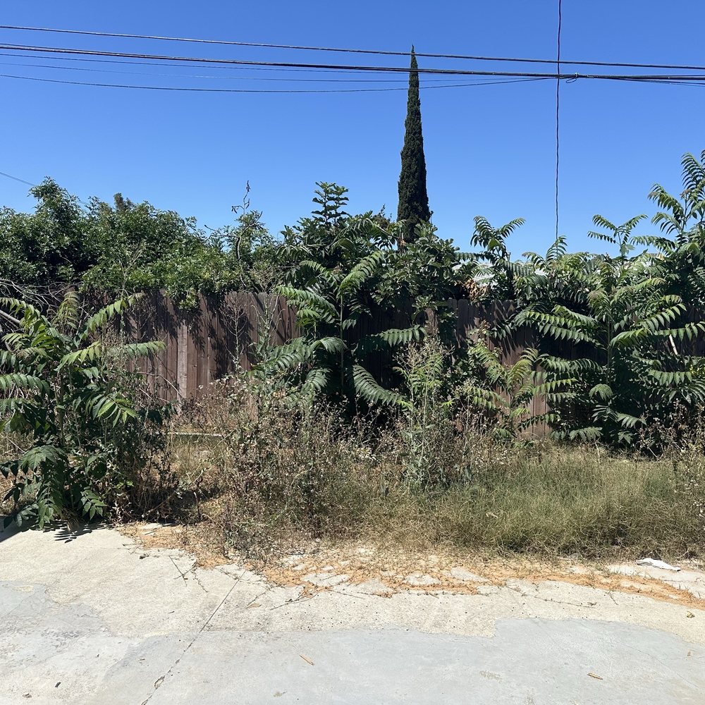 Dantastic Services - Before - Landscaping Near Me - Long Beach, California
