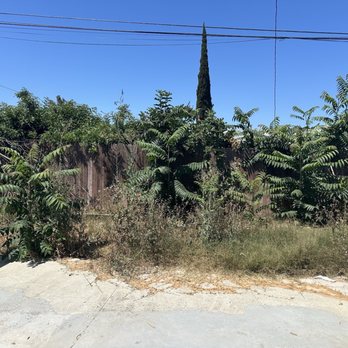 Dantastic Services - Before - Landscaping Near Me - Long Beach, California Dantastic Services - Before - Landscaping Near Me - Long Beach, California