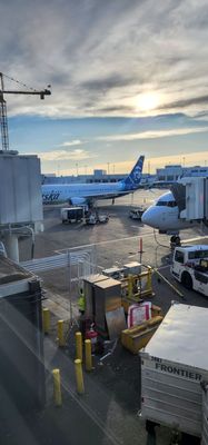 Alaska Airlines - Seattle, WA by null