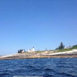 Illusion Fishing Charters