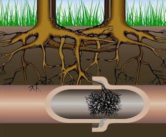 Slide of A Drain Doctor