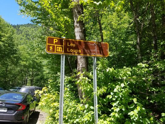 Parc national de la Jacques-Cartier by null