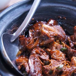 Living Food Alchemy