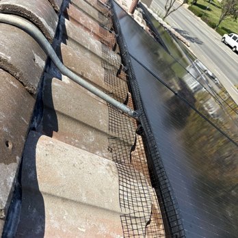 Greens Exterior Cleaning - Solar panels cleaned and bird netting installed. - Gutter Services Near Me Greens Exterior Cleaning - Solar panels cleaned and bird netting installed. - Gutter Services Near Me